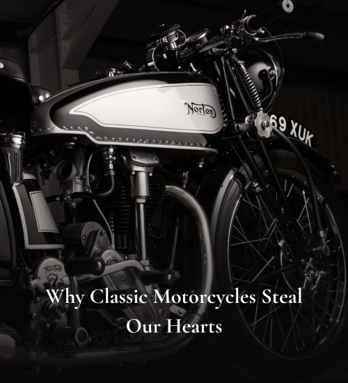 Explore Our Collection on our Website